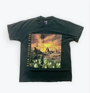 Vintage 1994 EAGLES 'Hell Freezes Over'
