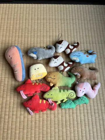 초롱초롱 눈망울 파충류관 외 봉제인형 마스코트 키링 묶음 판매
