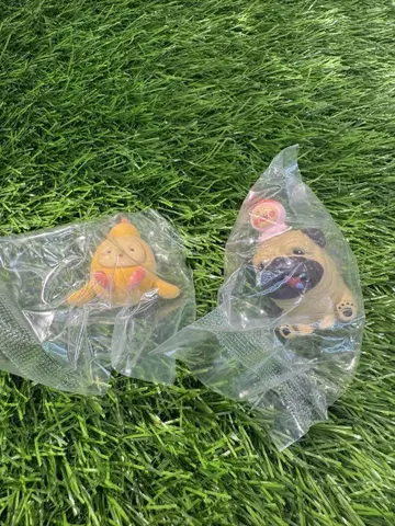 코비토즈칸 시크릿