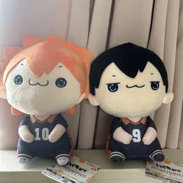 하이큐!! 모찌피코 BIG 봉제 인형