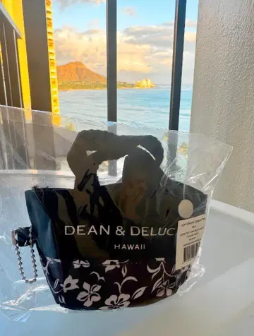 DEAN & DELUCA 컴팩트 하이비스커스 폴더블 토트백
