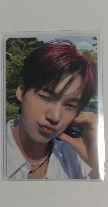 EVNNE 박하 트레이딩 카드