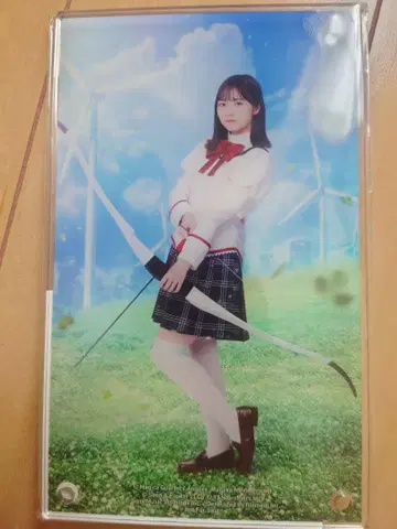 히나타자카46 히나도서 아크릴 아트 패널 쇼겐지 요코