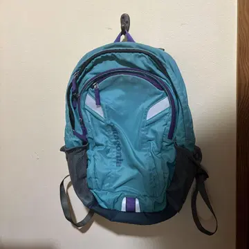 patagonia 백팩 레어 색상