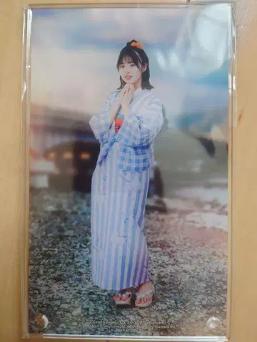 히나타자카46 히나도서 아크릴 아트 패널 쇼겐지 요코