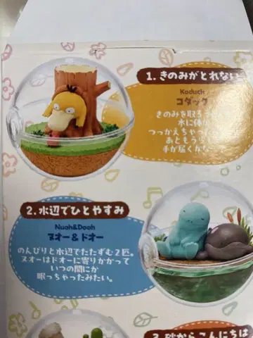 누오 & 도오 코다크 테라리움 컬렉션, 한가로운 한때