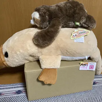 푹신푹신 오리너구리 나른한 나무늘보 데굴데굴