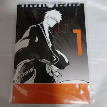 BLEACH EX. 오리지널 만년 달력