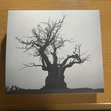 SEKAI NO OWARI 2010-2019