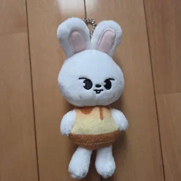 Stray Kids SKZO0 백참 푸딩 리빗