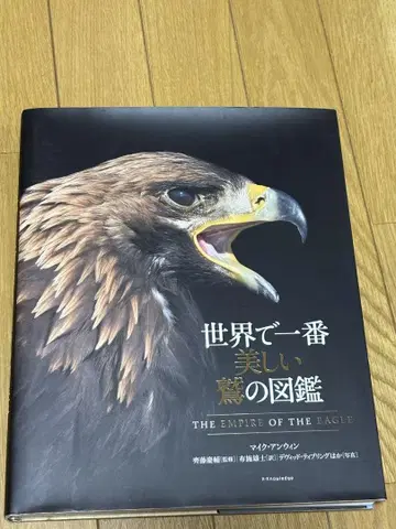 세계에서 가장 아름다운 독수리 도감