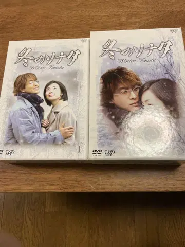 겨울연가 DVD