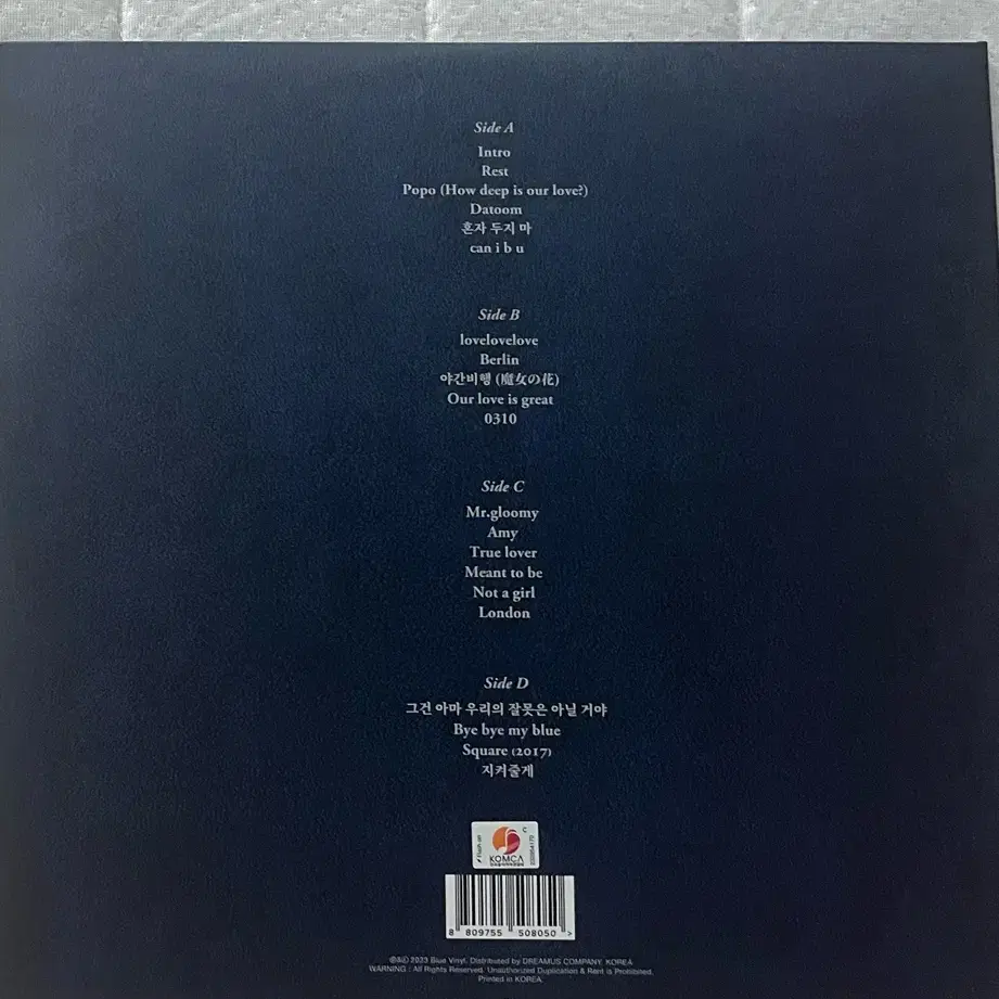 Yerin Baek LP (Live Ver.) #백예린,#lp,#백예린lp,#백예린라이브lp on