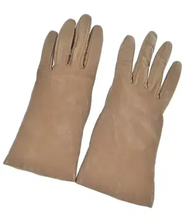 Gloves 장갑 여성용
