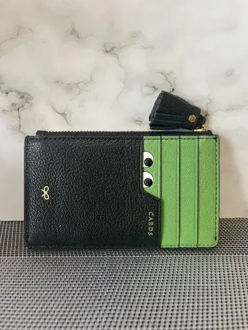 [ 컨디션 최상 ] ANNA HINDMARCH 프래그먼트 케이스