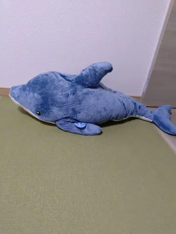 돌고래 봉제 인형