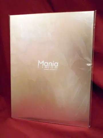 Snow Man 21년 Mania 팜플렛