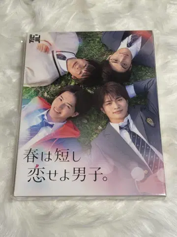 봄은 짧으니 사랑하라 남자. DVD