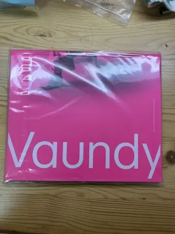 바운디 VAUNDY 프리미엄 포토북