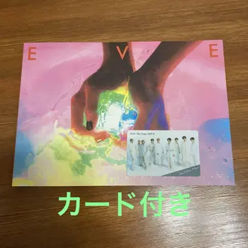 초특급 EVE 투어 팜플렛 아이치 한정판 카드 포함 87