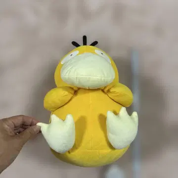 포켓몬 코닥 봉제 인형