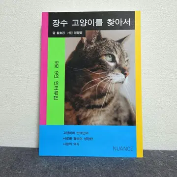 장수 고양이를 찾아서 황효진