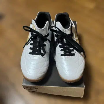 엄브로 액셀러레이터 TR EX 25.0cm