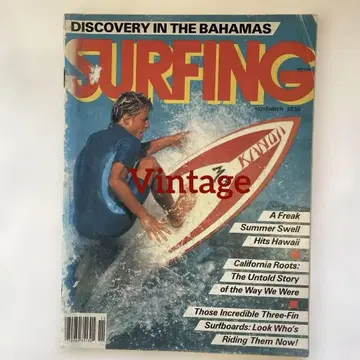 SURFING Magazine November 1981