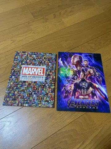MARVEL AGE OF HEROES & AVENGERS: ENDGAME