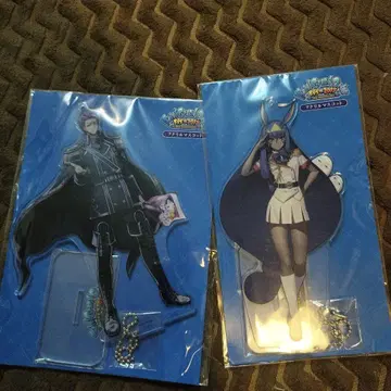 fgo 페이트 그랜드 오더 2개