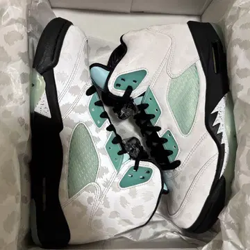 AIR JORDAN5 RETRO SNGL DY CN2932 100