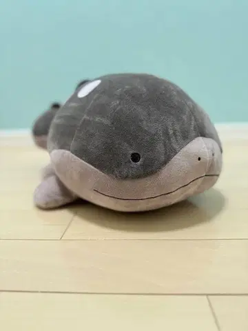 포켓몬 도오 봉제 인형