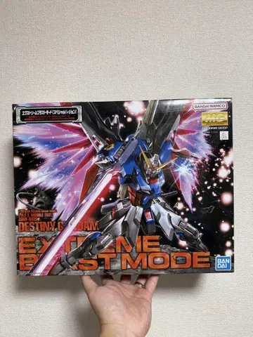 MG 1/100 데스티니 건담 익스트림 블라스트 모드