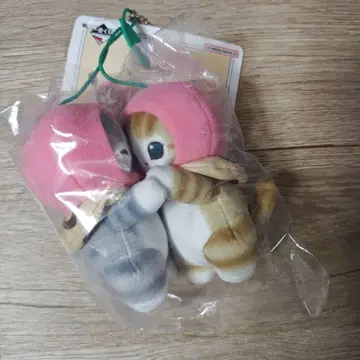 고양이 봉제 인형 미사용 12세트 반다이남코