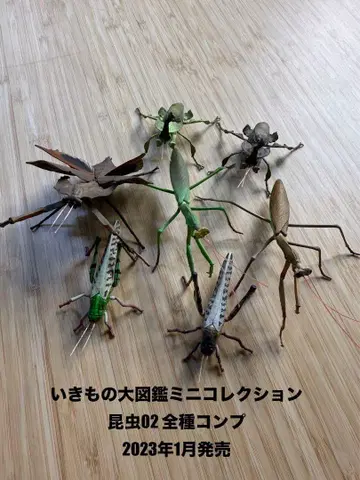 생물대도감 미니 컬렉션 곤충 02 컴프 전체 종류