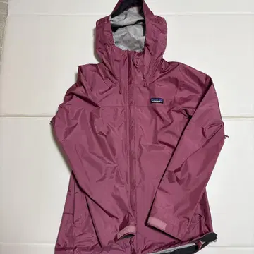 patagonia 퍼플 마운틴 후드티 XS