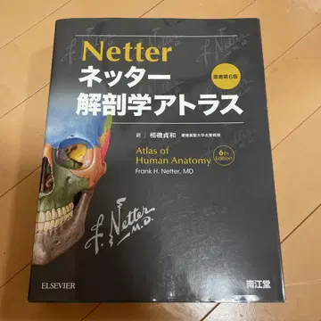 네터 해부학 아틀라스