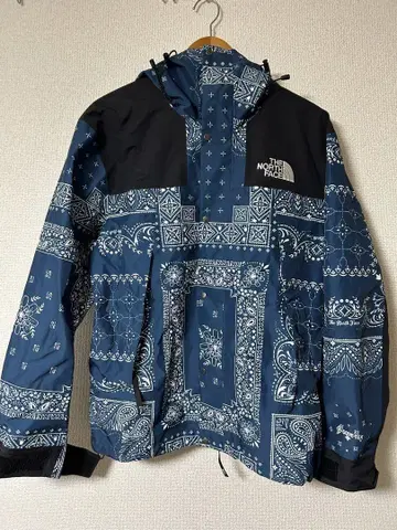 THE NORTH FACE 반다나 패턴 고어텍스 마운틴 파카