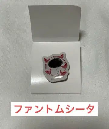 팬텀 시타 핀 배지 클라우드나인 파크
