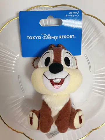 칩 디즈니랜드 키링