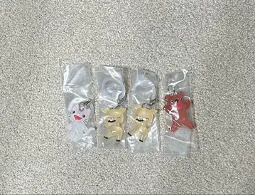 논탄 메지루시 액세서리