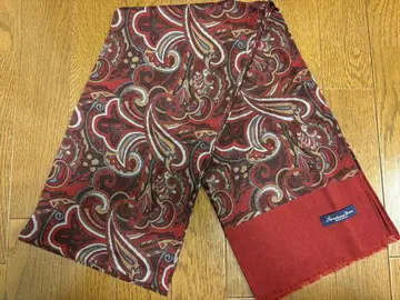 Fortuna Uomo 페이즐리 무늬 스톨