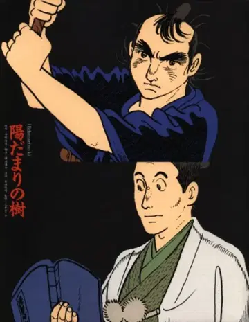 긴자 세존 극장 팜플렛 양지녘 나무 (1995년) 1995년