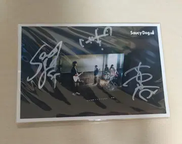 Saucy Dogs 사인 포함 엽서