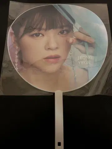 TWICE HareHare 정연 부채