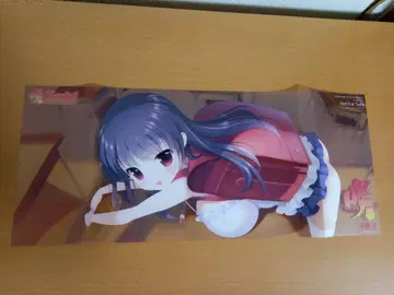 Saki 시미즈다니 류카 멜론북스 연동 특전 클리어 북커버