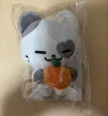 itzy popup 굿즈 예지