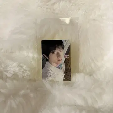 NCT DREAM BTTF Hoverboard 지성 미니 트레이딩 카드
