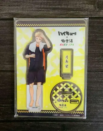 하이큐!! 츠키시마 케이