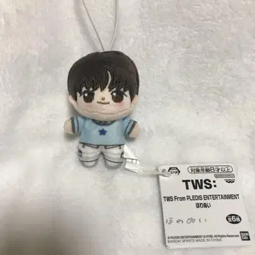 TWS From  봉제 인형 지훈